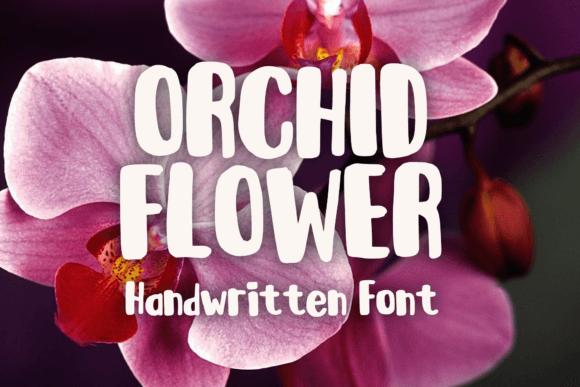 Orchid Flower Font for Creative Projects